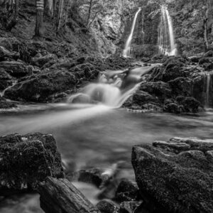 Baño en el bosque